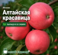 Питомник Омский Садовод
