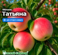 Питомник Омский Садовод