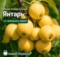 Питомник Омский Садовод