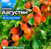 Питомник Омский Садовод