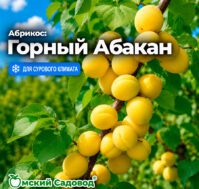 Питомник Омский Садовод