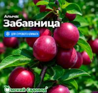 Питомник Омский Садовод