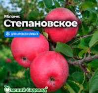 Питомник Омский Садовод