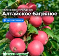 Питомник Омский Садовод