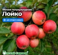 Питомник Омский Садовод