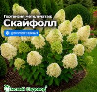 Питомник Омский Садовод