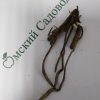 Питомник Омский Садовод
