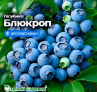 Питомник Омский Садовод