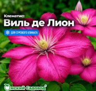 Питомник Омский Садовод