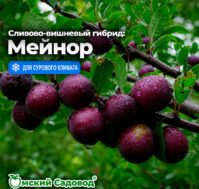 Питомник Омский Садовод