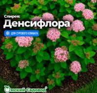 Питомник Омский Садовод
