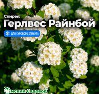 Питомник Омский Садовод