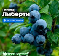 Питомник Омский Садовод