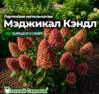 Питомник Омский Садовод