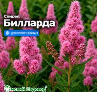 Питомник Омский Садовод