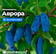 Питомник Омский Садовод