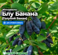 Питомник Омский Садовод