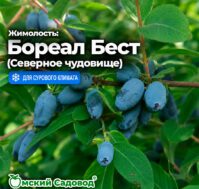 Питомник Омский Садовод