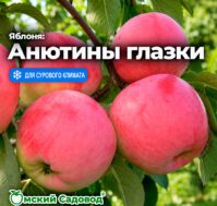 Питомник Омский Садовод