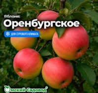 Питомник Омский Садовод