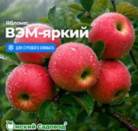 Питомник Омский Садовод
