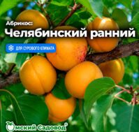 Питомник Омский Садовод