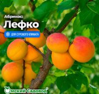 Питомник Омский Садовод