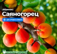 Питомник Омский Садовод