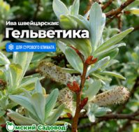 Питомник Омский Садовод