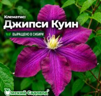 Питомник Омский Садовод