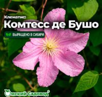 Питомник Омский Садовод