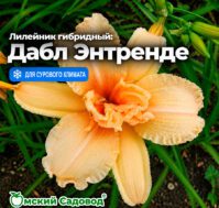 Питомник Омский Садовод