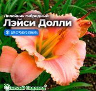 Питомник Омский Садовод