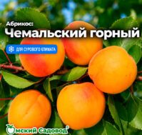 Питомник Омский Садовод