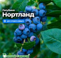 Питомник Омский Садовод