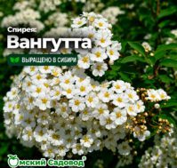 Питомник Омский Садовод