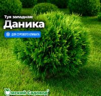 Питомник Омский Садовод
