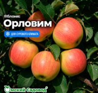 Питомник Омский Садовод
