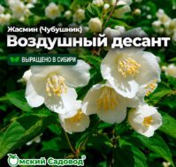 Питомник Омский Садовод