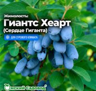 Питомник Омский Садовод
