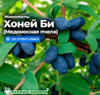 Питомник Омский Садовод