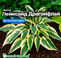 Питомник Омский Садовод