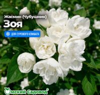 Питомник Омский Садовод
