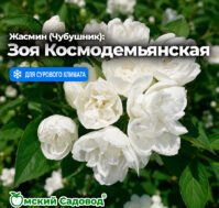 Питомник Омский Садовод