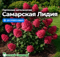 Питомник Омский Садовод