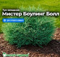 Питомник Омский Садовод