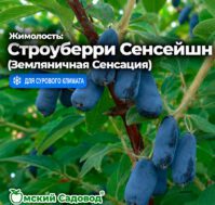 Питомник Омский Садовод