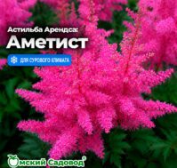 Питомник Омский Садовод