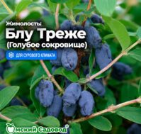 Питомник Омский Садовод