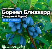 Питомник Омский Садовод